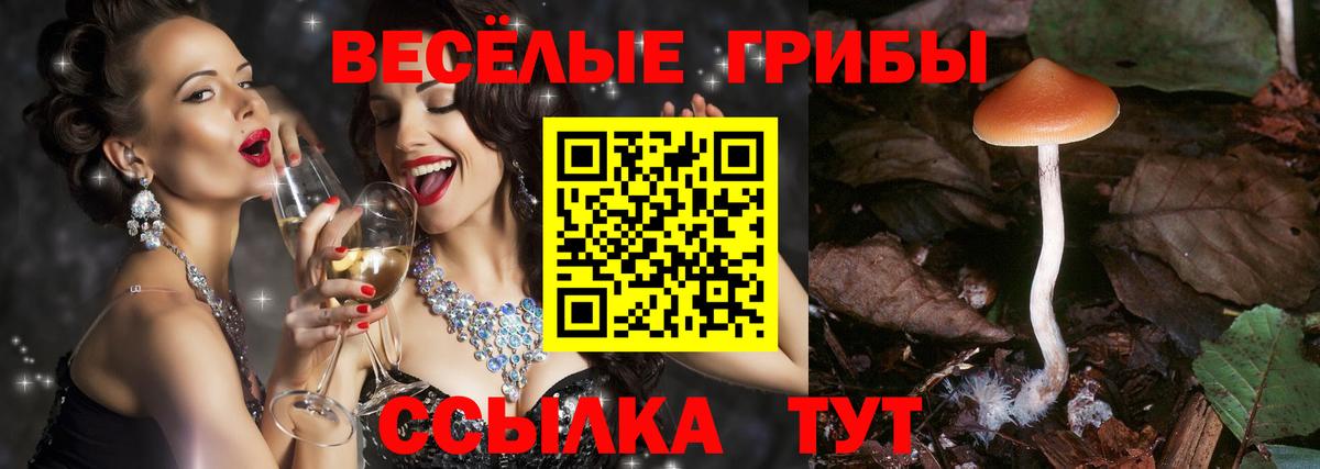 Галлюциногенные грибы MAGIC MUSHROOMS Омск